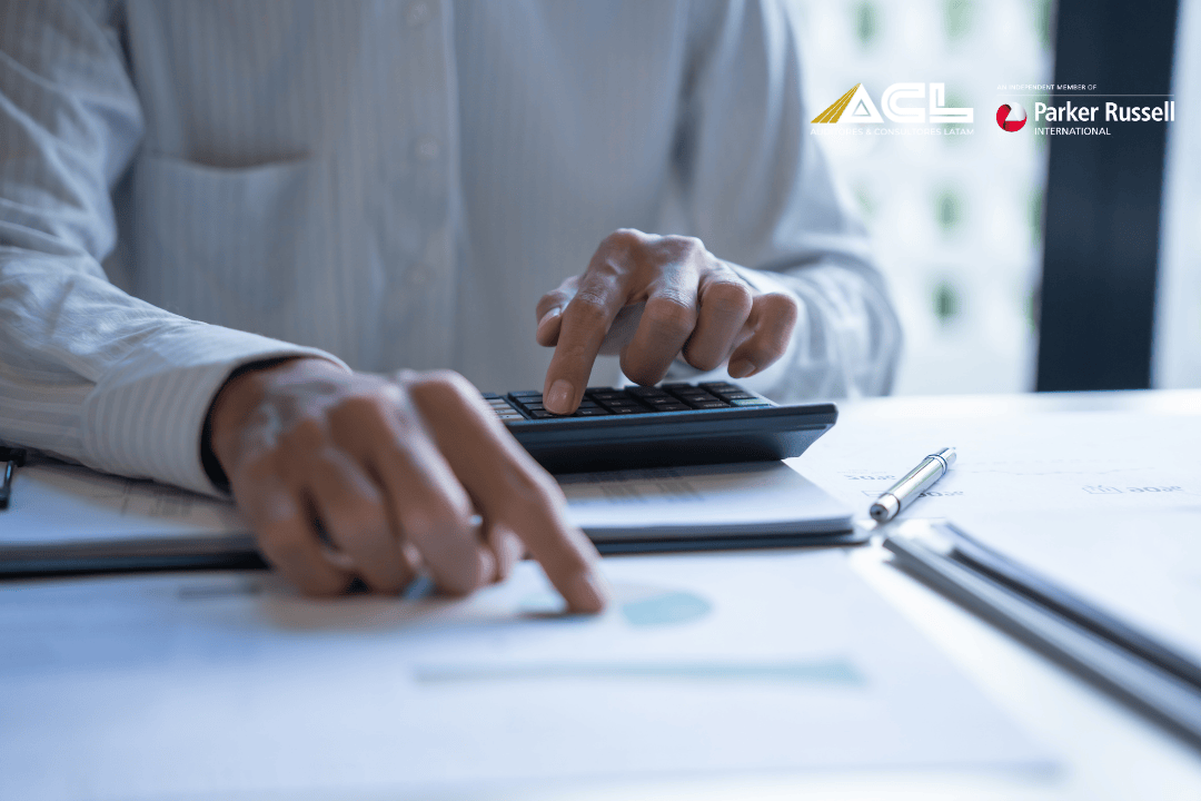 Plazos obligatorios del Anexo RDEP y su impacto en la auditoría